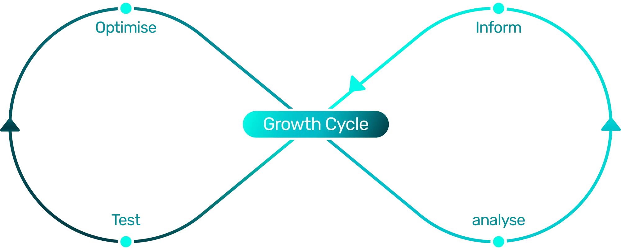 growth cycle 2@3x