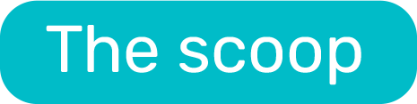 the scoop bar