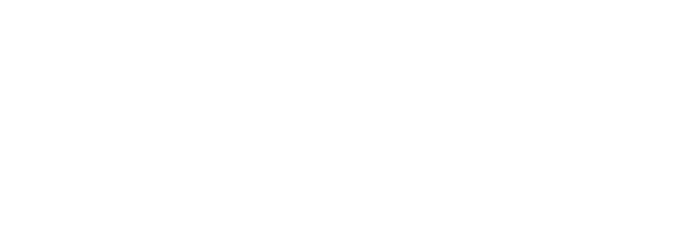 New Forest Clothing improved conversion rate with automated bidding