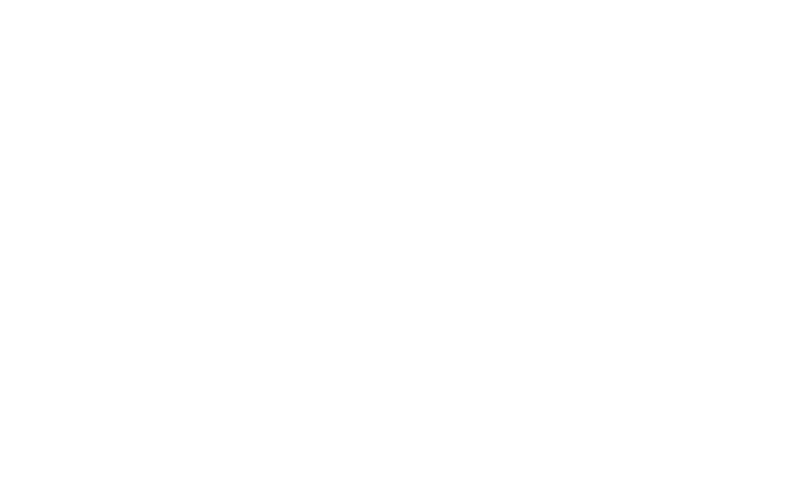 Corgi Direct increased revenue by 92% using Bidnamic's solution | Bidnamic