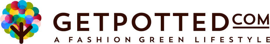 GetPotted.com increases revenue seven-fold using Bidnamic's Targeted Search Term algorithm test | Bidnamic