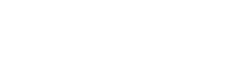 The Union Project increased revenue by 355% using Bidnamic's Solution | Bidnamic